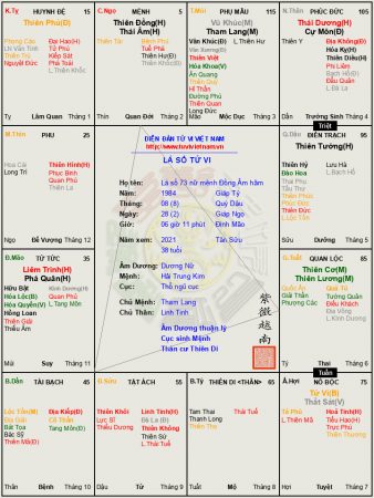 Lá số 73 nữ mệnh Đồng Âm cư Ngọ, mẫu người ba phải, cả thèm chóng chán
