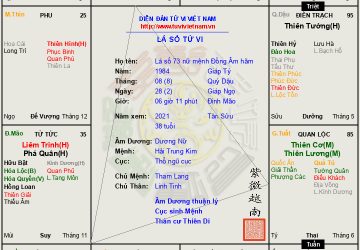 Lá số 73 nữ mệnh Đồng Âm cư Ngọ, mẫu người ba phải, cả thèm chóng chán