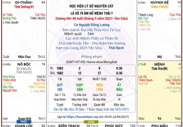 Lá số 79 nữ mệnh Thái Âm cư Tuất, một đời đủ đầy êm ấm chẳng cần lo chi.