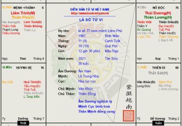 Lá số 77 nam mệnh Liêm Phủ cư Thìn. Bẩm sinh khí chất hiên ngang, thông minh và quyền biến