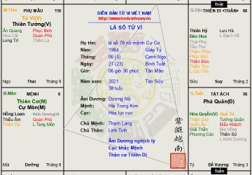 Lá số 78 nữ mệnh Cự Cơ cư Mão, đa mưu, túc trí, nói có người nghe