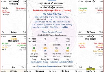 LÁ SỐ 80 âm nữ Thiên Tướng cư mệnh, vượng phu ích tử sinh ra đã ở vạch đích