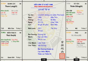Nữ mệnh Phá Quân cư Tý