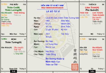 Lá số 83: luận giải tử vi nam mệnh Thiên Tướng hãm ngộ Triệt, một đời công danh lận đận chẳng được xứng ý toại lòng