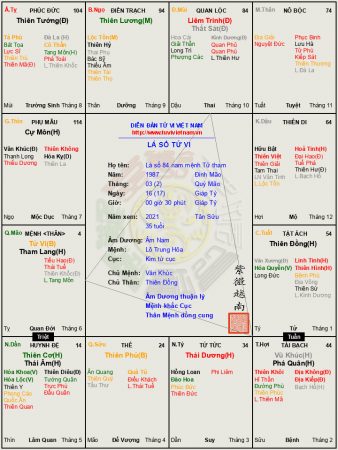 Lá số 84: luận giải tử vi đương số nam mệnh Tử Vi Tham Lang hội song hảo là mẫu người này ngoài cứng mà trong mềm, thường có xu hướng thích nhiều thứ rồi chóng chán, ưa nghe những lời tán tụng nịnh nọt