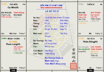 Lá số 84: luận giải tử vi đương số nam mệnh Tử Vi Tham Lang hội song hảo là mẫu người này ngoài cứng mà trong mềm, thường có xu hướng thích nhiều thứ rồi chóng chán, ưa nghe những lời tán tụng nịnh nọt