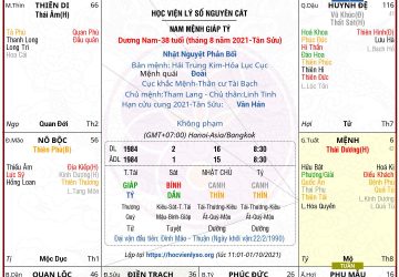 số 86 nam mệnh Thái Dương hãm cư Tuất, gặp Tuần, gia trưởng bảo thủ, thiếu niềm tin vào cuộc sống. Công danh sự nghiệp mọi thứ chỉ là ảo ảnh