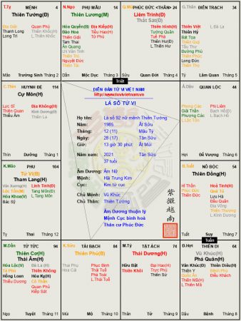 Lá số 92 nữ mệnh Thiên Tướng tại Tỵ mẫu phụ nữ vượng phu ích tử, một đời cơm no áo ấm.