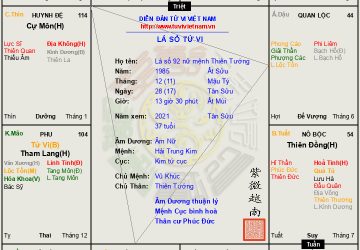 Lá số 92 nữ mệnh Thiên Tướng tại Tỵ mẫu phụ nữ vượng phu ích tử, một đời cơm no áo ấm.