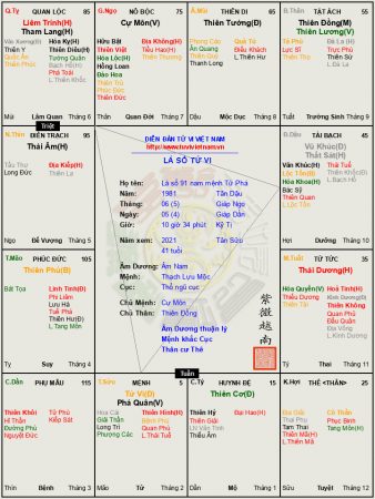 Lá số 91 nam mệnh Tử Phá (Tử vi, Phá Quân) Tuần không bao phủ, công