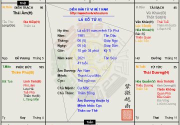 Lá số 91 nam mệnh Tử Phá (Tử vi, Phá Quân) Tuần không bao phủ, công