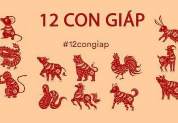 Xem vận hạn 2022 của 12 con giáp