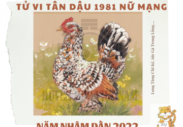 Tử vi tuổi Tân Dậu năm 2022 nữ mạng