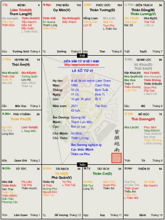 Lá số 94: Luận giải tử vi dương nữ mệnh Liêm Tham Tỵ Hợi, sô phải ly hương thì mới tai họa