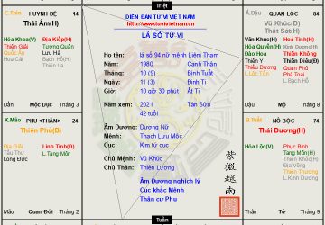 Lá số 94: Luận giải tử vi dương nữ mệnh Liêm Tham Tỵ Hợi, sô phải ly hương thì mới tai họa