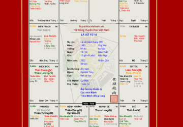 Lá số 399 luận giải tử vi nam mệnh Cự Đồng (Cự Môn, Thiên Đồng), mẫu người của sự tham vọng đầy toan tính