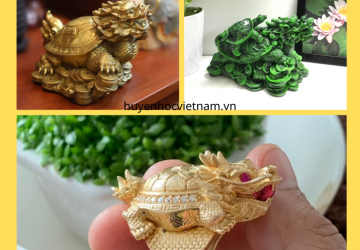 Tại sao Long quy lại là linh vật phong thủy, chiêu tài lộc?