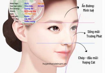 Mũi cấu trúc Sline