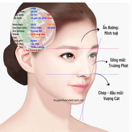 Mũi cấu trúc Sline