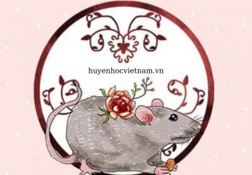 May mắn nào sẽ đến với 12 con giáp trong năm 2023