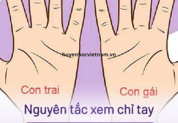Tuyệt chiêu xem bói chỉ tay nam và nữ trên 4 đường: sinh đạo, trí đạo, tâm đạo, định mệnh