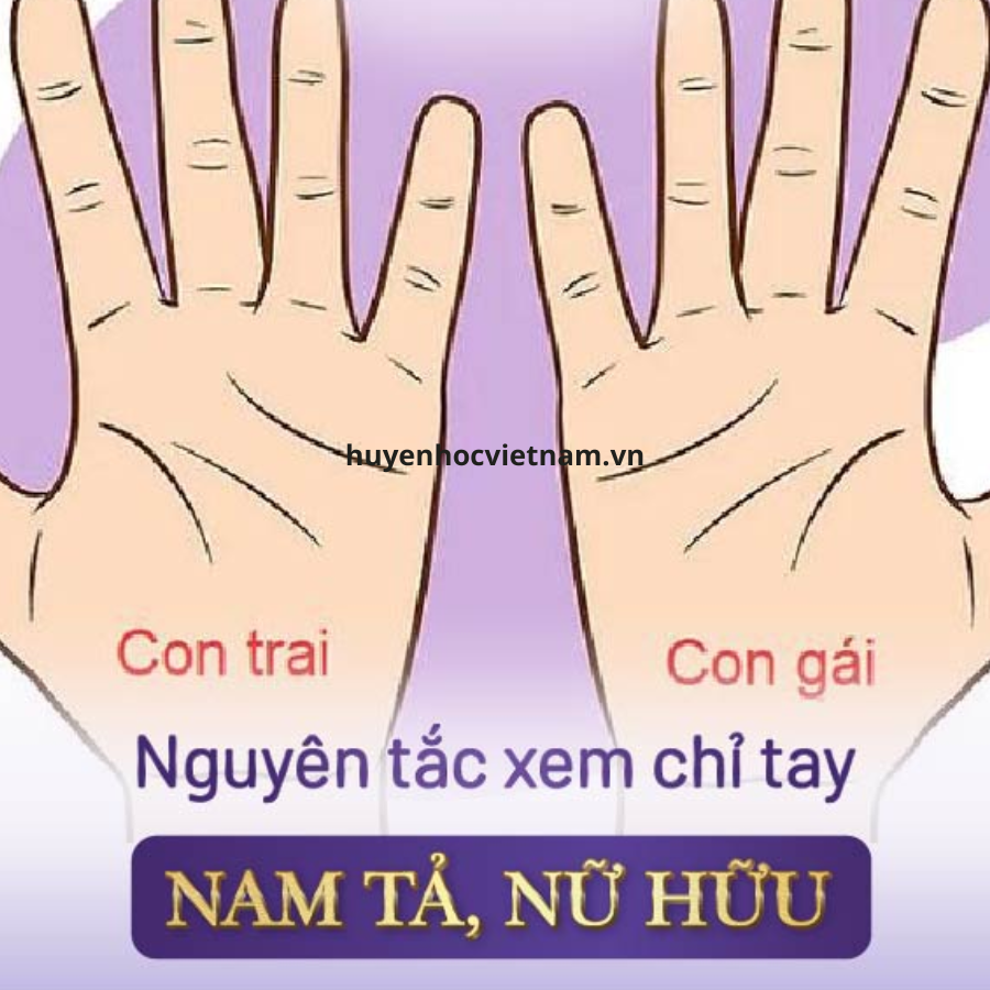 Tuyệt chiêu xem bói chỉ tay nam và nữ trên 4 đường: sinh đạo, trí đạo, tâm đạo, định mệnh