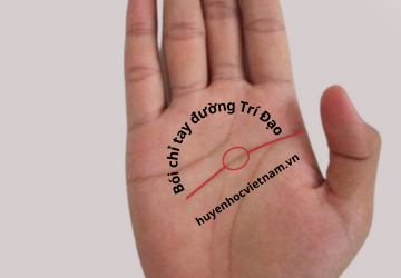 Bí kíp bói chỉ tay qua đường trí đạo biết ngay kẻ khôn người kém trí tuệ