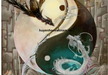 6 bí kíp xem mệnh bàn cơ bản trong luận giải lá số tử vi trọn đời