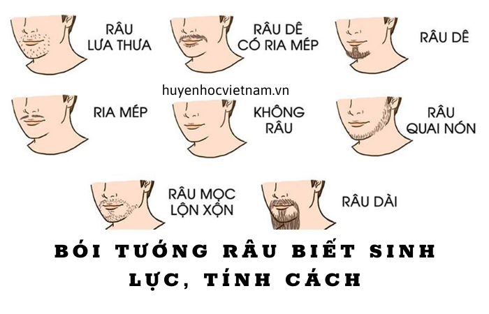 Bói tướng râu đàn ông để biết thêm về “chuẩn” độ nam tính.