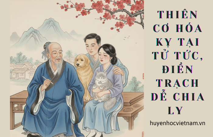 Cung Tử Tức, Cung Điền Trạch và duyên nuôi thú cưng trong Tử Vi