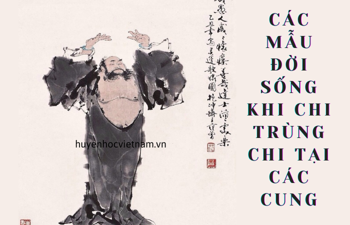 Địa chi trùng phùng là gì? Khi nào Năm sinh và Giờ sinh "nhập hội" ? Địa chi trùng phùng là gì? Khi nào Năm sinh và Giờ sinh "nhập hội" ?