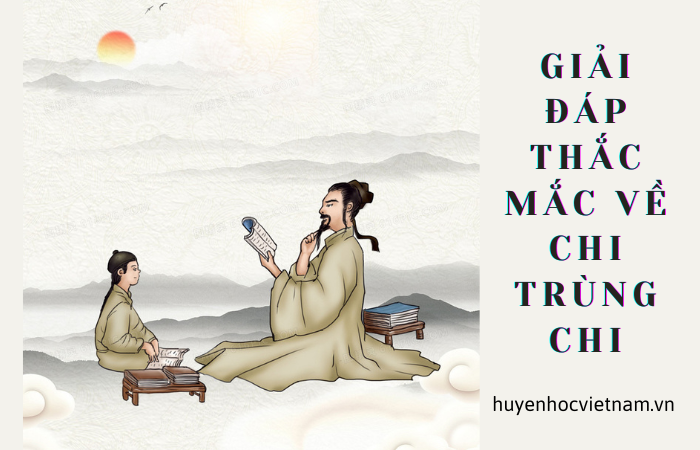 Địa chi trùng phùng là gì? Khi nào Năm sinh và Giờ sinh "nhập hội" ?