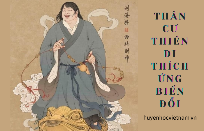 Vì Sao Cung Thân Là Trục Điều Chỉnh Vận Mệnh Trong Tử Vi Hiện Đại